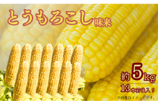 ひろ子のとうもろこし（味来）　約5kg／約13本前後入り
