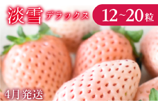 【4月発送】いちご イチゴ 淡雪 DX 1箱 （12～20粒）苺 白いちご 淡雪 厳選 フルーツ 季節限定 希少 上品 高級 新鮮 1箱 送料無料 ギフト 茨城県 鉾田市 野菜王国