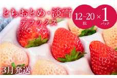 【3月発送】いちご 苺 イチゴ とちおとめ 淡雪【1～4月発送】紅白DX 1箱（12～20粒）デラックスサイズ 厳選 セット フルーツ 季節限定 希少  高級 新鮮 大容量 送料無料 ギフト 茨城県 鉾田市 野菜王国