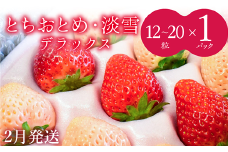【2月発送】いちご 苺 イチゴ とちおとめ 淡雪【1～4月発送】紅白DX 1箱（12～20粒）デラックスサイズ 厳選 セット フルーツ 季節限定 希少  高級 新鮮 大容量 送料無料 ギフト 茨城県 鉾田市 野菜王国