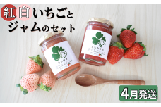 【4月発送】いちご 苺 イチゴ とちおとめ 淡雪 紅白いちごとジャムのセット 厳選 ジャム フルーツ 季節限定 希少 選べる配送月 高級 新鮮 1箱 送料無料 ギフト 茨城県 鉾田市 野菜王国