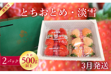 【3月発送】いちご 苺 イチゴ 淡雪 とちおとめ 紅白いちご（とちおとめ＆淡雪）2パックセット 厳選 セット フルーツ 季節限定 希少  高級 新鮮 1箱 送料無料 ギフト 茨城県 鉾田市 野菜王国