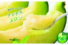 【アンデスメロン】＼生産量日本一！／ 2玉入り1箱 4Lサイズ 1玉 1.5kg前後 × 2 アンデスメロン メロンの村田 選べる玉数 先行予約 青肉 追熟 産地直送 メロン めろん おすすめ 人気 大きい 定番 ギフト プレゼント 贈り物 国産 フルーツ 果物 茨城 鉾田