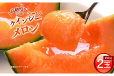 【クインシーメロン】＼生産量日本一！／ 2玉入り1箱 4Lサイズ 1玉 1.5kg前後 × 2 クインシーメロン メロンの村田 選べる玉数 先行予約 赤肉 追熟 産地直送 メロン めろん おすすめ 人気 大きい 定番 ギフト プレゼント 贈り物 国産 フルーツ 果物 茨城 鉾田