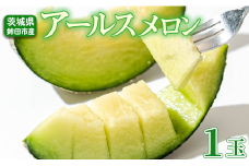 受付終了間近！【アールスメロン】＼生産量日本一！／ 1玉入り1箱 2kg～2.5kg アールスメロン メロンの村田 選べる玉数 先行予約 青肉 追熟 産地直送 メロン めろん おすすめ 人気 大きい 定番 ギフト プレゼント 贈り物 国産 フルーツ 果物 茨城 鉾田