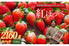 生産者が惚れ込んで作るいちご【2月発送】いちご 2160g 270g×8 イチゴ 苺 ストロベリー 紅ほっぺ べにほっぺ 送料無料 取り寄せ おすすめ 人気 プレゼント ギフト 国産 内容量 予約受付 選べる 贈答 お好み 定期 美味しい 果物 茨城 2025年分 予約受付 鉾田 村田農園 紅ほっぺの村田