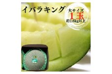 イバラキングメロン（大）1玉（約1.6kg以上）