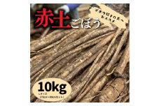 ゴボウが好きな方へ「赤土ごぼう」10kg／Lサイズ（70cm～90cmカット）
