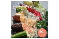 シトラスキャビア （ フィンガーライム ）50g（3本～6本）Citrus Caviar