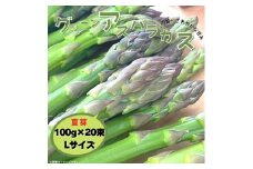 グリーンアスパラガス（夏芽）100g×20束／Lサイズ