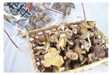 原木椎茸の乾燥しいたけ小葉　240g