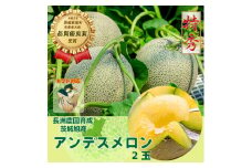 【特秀】アンデスメロン 2玉（1.2kg×2）茨城旭エメラルド