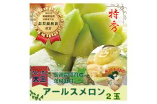 【特秀】アールスメロン 2玉（3.0kg）茨城旭エメラルド  メロン めろん おすすめ 人気 国産 青肉 産地直送 茨城 鉾田 フルーツ 旬 大きい プレゼント 贈り物 旬 定番 果物 くだもの 甘い 贅沢 上品 高級