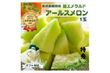 【贈答用／特秀】アールスメロン 1玉（1.5kg） アールスメロン 茨城旭エメラルド メロン めろん おすすめ 人気 国産 青肉 産地直送 茨城 鉾田 フルーツ 旬 大きい プレゼント 贈り物 旬 定番 果物 くだもの 甘い 贅沢 上品 高級