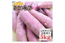 さつまいも【紅はるか】AMサイズ5kg（18本以上）