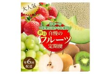 【フルーツ年6回定期便】もぎたて市場から2ヶ月に1回発送／いちご メロン ぶどう 梨 キウイ 果物 くだもの 鉾田市 茨城県 送料無料 産地直送 ギフト 詰め合わせ 贈答 セット 採れたて 季節 旬