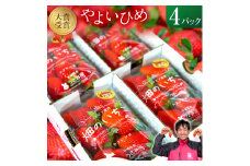 【4月上旬発送】畑のいちご【やよいひめ】4パック