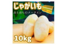 【Mサイズ】じゃがいも（赤土メークイン）10kg