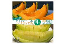 山一ファームの メロン『 2ヵ月 定期便 』5月クインシー2玉・6月イバラキング2玉 茨城 鉾田 フルーツ 旬 プレゼント 贈り物 甘い ヘルシースイーツ 産地直送 農業王国 赤肉 青肉 緑肉