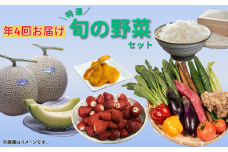 年4回お届け　特選旬の野菜セット