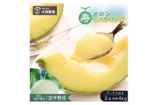 寿メロン 「空中栽培」で栽培した贅沢な イバラキングメロン  アンテナ付き 2玉 計約4kg メロン 大森農園 先行予約 フルーツ先行予約 メロン先行予約
