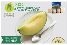 寿メロン 「空中栽培」で栽培した贅沢な イバラキングメロン  アンテナ付き 2玉 計約4kg メロン 大森農園 先行予約 フルーツ先行予約 メロン先行予約
