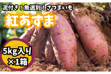 【さつまいも】紅あずま（泥付き無選別）5kg さつまいも サツマイモ 国産 おすすめ 人気 根野菜 べにあずま 紅あずま ホクホク 天ぷら 大学芋 お菓子作り 煮物 焼き芋 鉾田市 茨城県 送料無料 特産品 農家 産地直送 旬