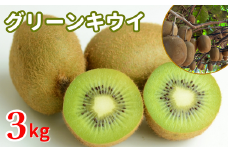 グリーンキウイ　3kg
