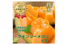 【特秀】クインシーメロン 5玉（1.2kg×5）茨城旭エメラルド