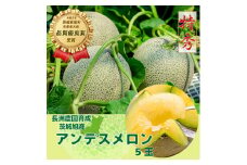 【特秀】アンデスメロン 5玉（1.2kg×5）茨城旭エメラルド