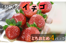【3月発送】 いちご 苺 イチゴ とちおとめ 4パック 選べる 発送月 季節限定 ふるさと納税 送料無料 茨城県 鉾田市 いちご とちおとめ 甘い 高糖度 ほど良い酸味 日持ち なだろう JＡほこた