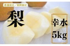 梨（幸水）5kg×1箱