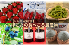【6ヵ月定期便】ほこたの食べごろ農産物（いちご／いちご／ブルーベリー／メロン／枝豆／ブルーベリージャム）