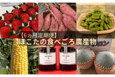 【6ヵ月定期便】ほこたの食べごろ農産物（さつまいも／いちご／とうもろこし／メロン／枝豆／ブルーベリージャム）