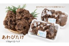 あわびたけ（170ｇ×12パック）