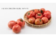 いとうさんちのこだわりとまと（8パック）