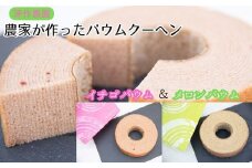 メロンバウム ＆ イチゴバウム 2種セット バウムクーヘン フルーツバウム メロンスイーツ イチゴスイーツ