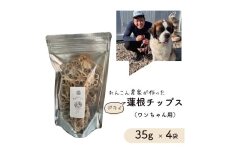 レンコン 農家が作った ワンちゃん用 ドライ 蓮根チップス 35g × 4袋 犬用 ドックフード れんこんチップス レンコンチップス 犬用おやつ 
