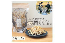 レンコン 農家が作った ドライ 蓮根チップス 食べ比べセット （ 皮つきプレーン  /  うすしお  ） レンコンチップス れんこんチップス 乾燥野菜 