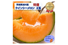 【父の日用ラッピング付】【特秀】クインシーメロン 2玉（2.5kg）茨城旭エメラルド