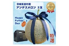 【父の日用ラッピング付】【特秀】アンデスメロン 2玉（2.5kg）茨城旭エメラルド