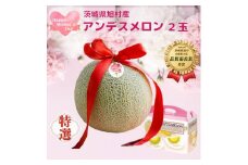 【母の日用ラッピング付】【特秀】アンデスメロン 2玉（2.5kg）茨城旭エメラルド