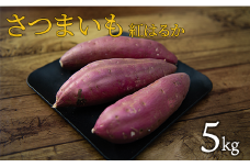 【12月～3月発送】さつまいも（紅はるか）S～Mサイズ　5kg
