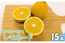 食べるレモン！ レモネード（15個）