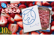 冷凍いちご（とちおとめ）　10kg