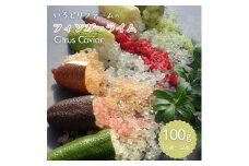 シトラスキャビア （ フィンガーライム ）100g（6本～10本）Citrus Caviar