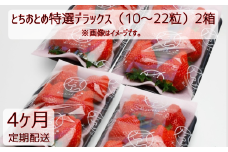 【4ヶ月定期便】いちご とちおとめ特選デラックス（10～22粒）2箱×4回 苺 イチゴ とちおとめ 選べる 発送月 発送回数 個数 いちご「とちおとめ」風早いちご園 有名ホテル使用 厳選 フルーツ 果物 季節限定 甘い 濃厚 ジューシー 新鮮 2箱 送料無料 ギフト 贈答 茨城県 鉾田市 野菜王国 予約受付