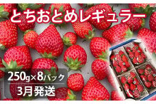 【3月発送】いちご とちおとめレギュラー 250g×8パック 苺 イチゴ とちおとめ 選べる 発送月 発送回数 個数 いちご「とちおとめ」風早いちご園 有名ホテル使用 厳選 フルーツ 果物 季節限定 甘い 濃厚 ジューシー 新鮮 2箱 送料無料 ギフト 贈答 茨城県 鉾田市 野菜王国 予約受付
