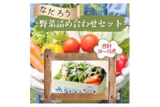 【2025年12月発送】ＪＡほこた　なだろう　鉾田市産野菜の詰合わせセット