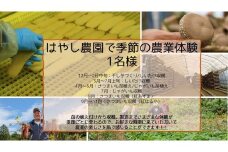 はやし農園で季節の農業体験（1名様分）